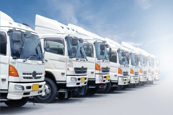 pjm logistik